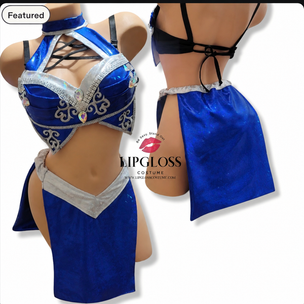 Royal Blue Silver Combat Princess Ice Warrior Princess, Fighting Game Assassin, Ninja Fighter